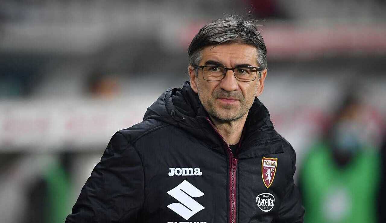 Ivan Juric, allenatore del Torino