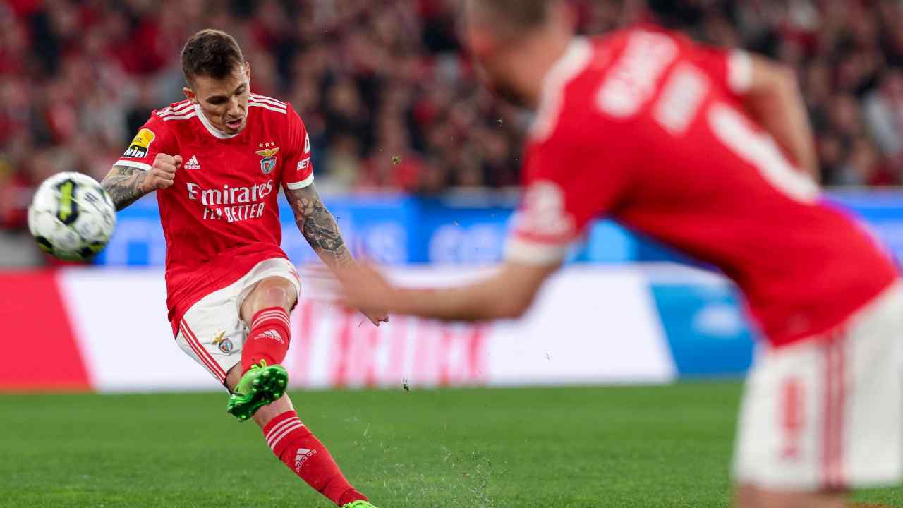 Grimaldo - NewsSportive.it 20230228